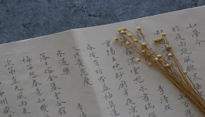 元稹惟将终夜长开眼是悼念谁 元稹惟将终夜长开眼是悼念谁的