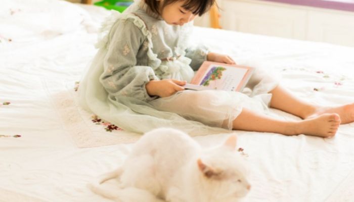 拼音u和ü的区别 拼音u和ü的区别是什么