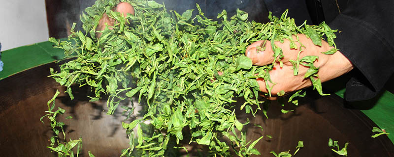 茶叶的分类 茶叶有哪些分类