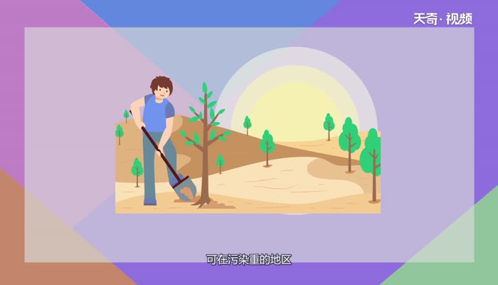 酸雨形成的主要气体  酸雨形成的气体