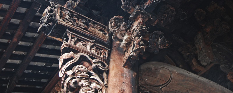 家里进蛇的真正预兆 家里进蛇的预兆