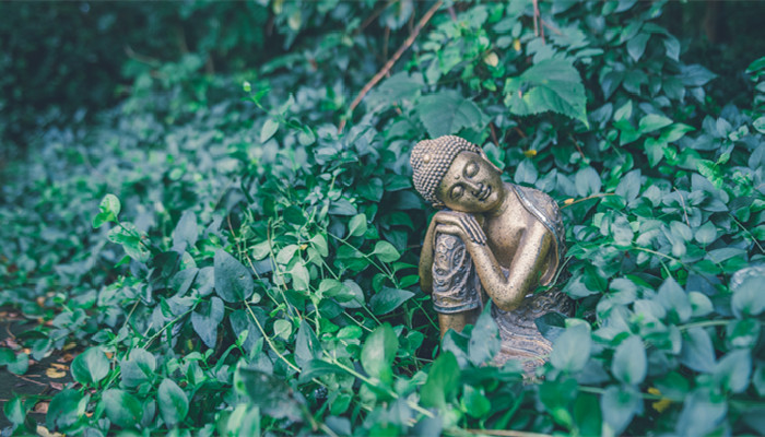 唐密藏密区别,唐密藏密区别是什么