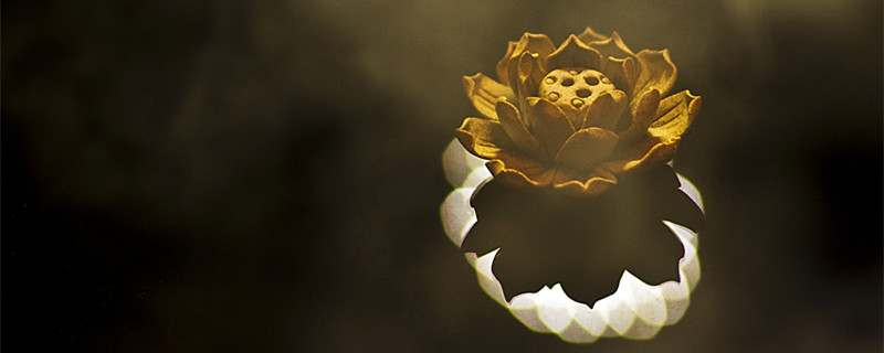 唐密藏密区别,唐密藏密区别是什么