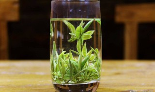 识别绿茶的最佳方法 识别绿茶的最佳方法是