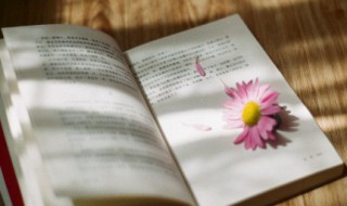 一句话领悟人生（一句话领悟人生哲理）
