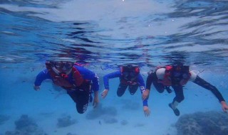 潜水打鱼的正确方法 潜水打鱼的正确方法图解