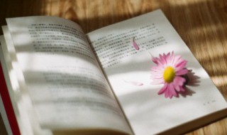 十句经典励志人生语录 十句经典励志人生语录图片