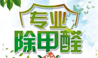 什么可以除甲醛又快又好（什么除甲醛比较快）
