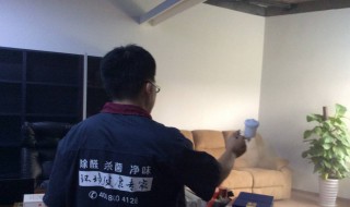 什么可以除甲醛除异味（什么可以除甲醛除异味最有效）