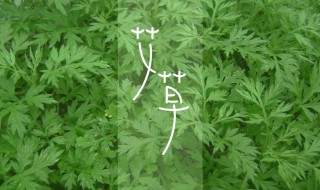 艾叶洗脸有什么好处（艾叶洗脸有什么好处与坏处）