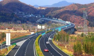 广东端午高速免费吗2021 广东端午高速免费吗2021最新消息