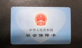 上海社保怎么查询（2008年上海社保怎么查询）