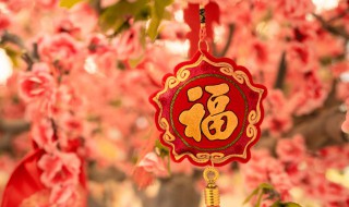 五福临门中的五福是哪五福（五福临门中的五福指的是哪五福?）