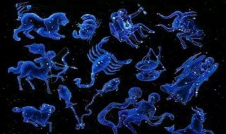 十二星座的守护花 十二星座的隐藏身份