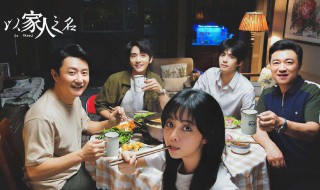 以家人之名是爱情电视剧吗（以家人之名是什么电视剧）