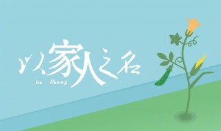 陈婷的大结局（陈婷的大结局视频）