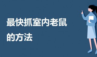 最快抓室内老鼠的方法（怎么逮住室内老鼠）