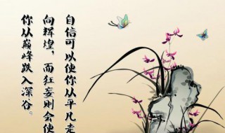 很自信的说说心情短语（自信的句子说说心情）