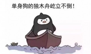 适合七夕单身狗发的说说搞笑 适合七夕单身狗发的句子