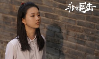 非常目击小白鸽是怎么死的（非常目击为什么杀白鸽）