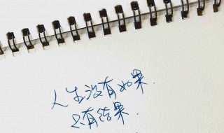 冷酷野性的短句 冷酷野性的短句16个字