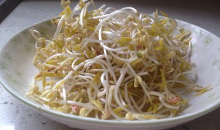 怎么发豆芽简单做法 怎么发豆芽简单做法视频红豆