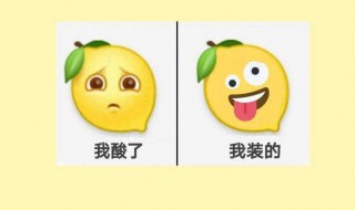 柠檬精之歌是哪个节目（柠檬精之歌原曲是哪首歌）