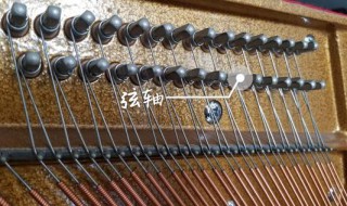 弦轴的作用（弦轴的作用是什么）