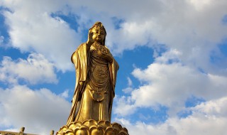 普陀山南海观音介绍 普陀山南海观音简介