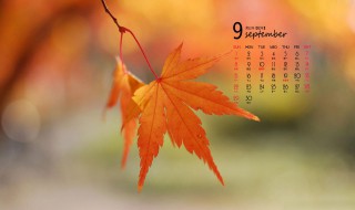 9月份节日（9月份节日和纪念日）