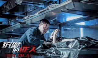沉默的证人剧情介绍 《沉默的证人》剧情