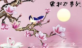 家和万事兴剧情介绍 家和万事兴剧情介绍电视猫
