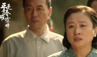 正是青春璀璨时电视剧剧情介绍（正是青春璀璨时电视剧剧情介绍结局）