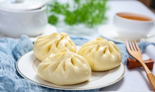 不发面也可以做包子的方法（不发面能不能做包子）