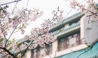 前路漫漫雨纷纷谁在痴痴等是什么歌 前路漫漫雨纷纷谁在痴痴等是什么歌词