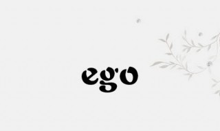 ego是什么意思中文（ego是什么意思中文ring）
