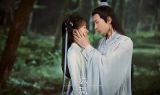 琉璃美人煞小说简介 琉璃美人煞小说简介司凤