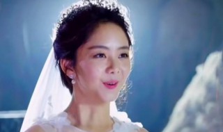 凌霄和贺子秋结婚了吗（凌霄和贺子秋结婚了吗知乎）