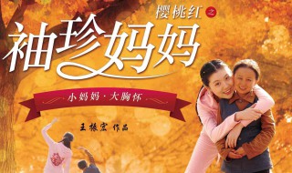 樱桃红之袖珍妈妈演员表 樱桃红之袖珍妈妈的袖珍妈妈是谁演的