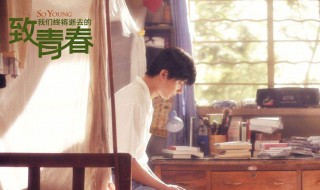 致我们终将逝去的青春演员表 致我们终将逝去的青春演员表阮莞