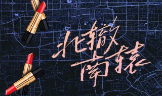 北辙南辕电视剧谁是主演 北辙南辕电视剧谁是主演啊