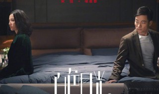 白色月光结局复婚了吗 白色月光最后离婚了吗