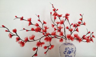 丝网花的制作方法（丝网花的制作方法视频）