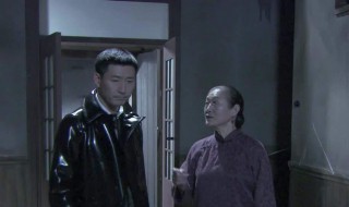 飞虎神鹰演员表（飞虎神鹰演员表全部介绍）