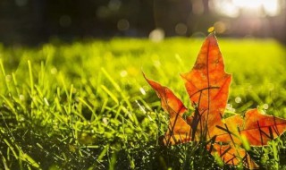 秋分后天气还热吗（秋分为什么天气这么热）
