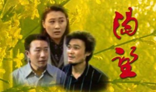渴望电视剧一共多少集 渴望电视剧一共有多少集