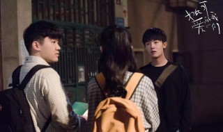 如此可爱的我们电视剧介绍（《如此可爱的我们》电视剧）