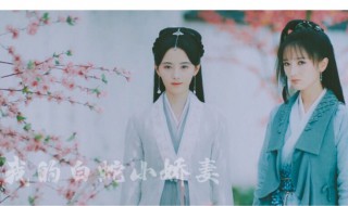 肖燕个人资料简介（肖燕个人资料简介图片）