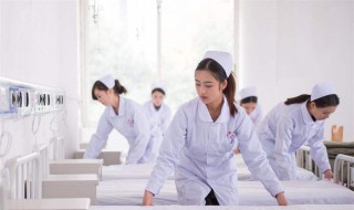 护理学基础知识（护理学基础知识点）