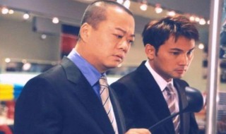 欧阳震华主演的电视剧（蔡少芬欧阳震华主演的电视剧）